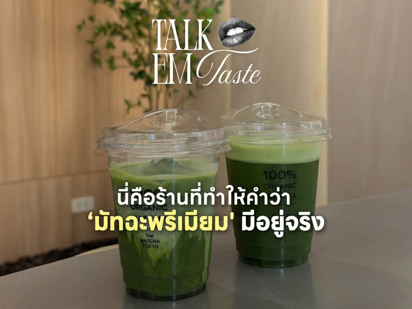 รวมร้านมัทฉะพรีเมียมที่ EM District Talk EM Taste EP.2 2026