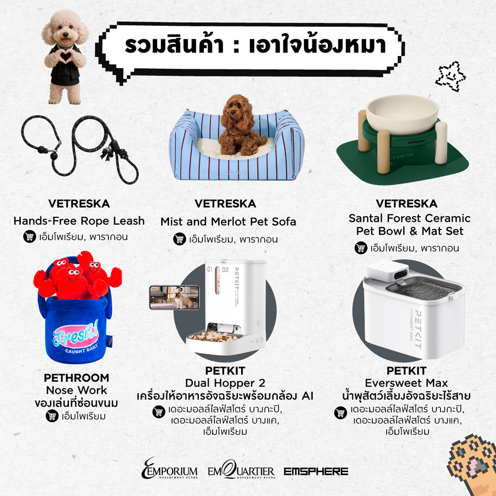 วันแมวโลก&วันสุนัขโลก เช็กเลยเราเป็นทาสหมาหรือทาสแมว 2026