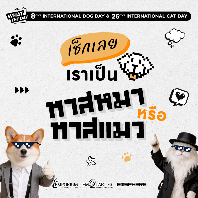 วันแมวโลก&วันสุนัขโลก เช็กเลยเราเป็นทาสหมาหรือทาสแมว 2026
